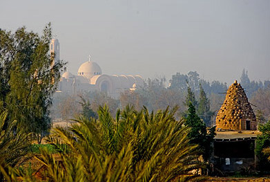 The Monastery of Saint Bishoy as seen through the gardesn